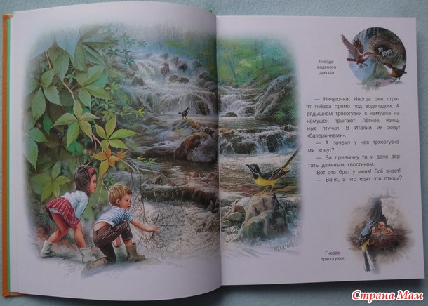 Стопка книг под ёлочку