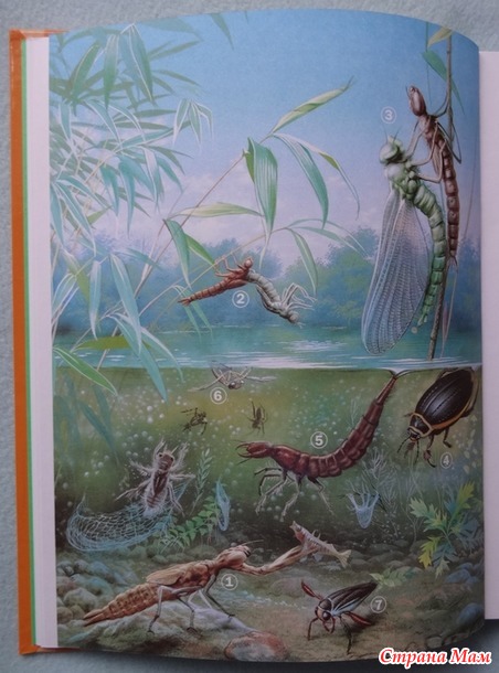 Стопка книг под ёлочку