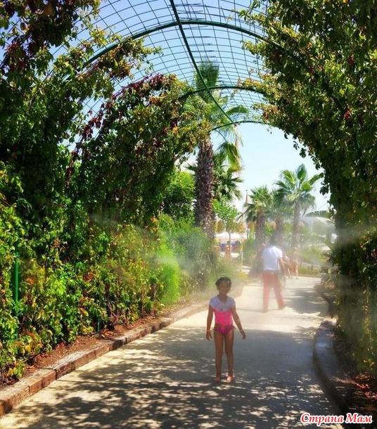 Инструкции по выживанию : один день многодетной семьи в RIXOS