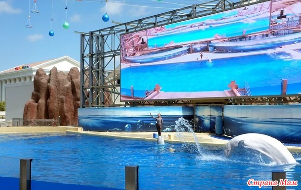 Инструкции по выживанию : один день многодетной семьи в RIXOS