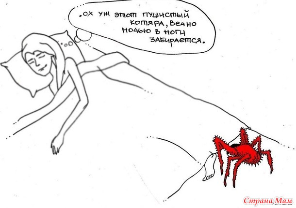 . ОН виноват лишь в том, что просто хочет кушать!!!))