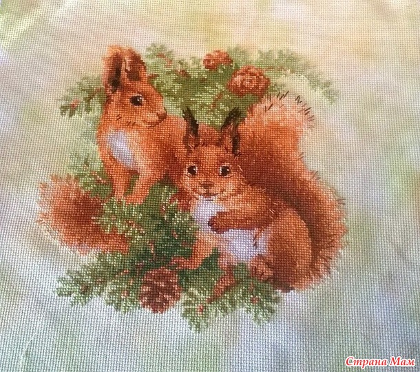 Белочки от РИОЛИС