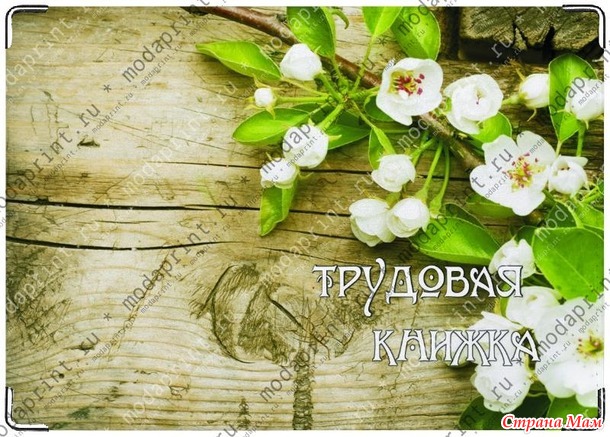 Завтра СТОП!!! Модапринт - обложки на все виды документов, визитницы и кошельки из натуральной кожи. Качество отличное./Россия/