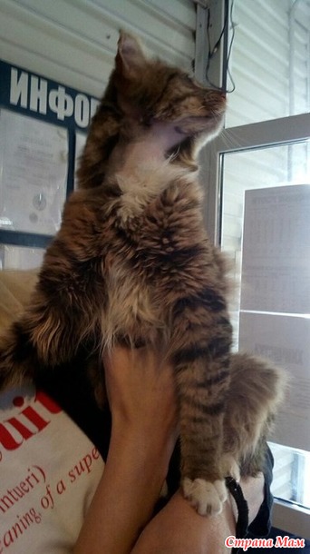 ���� 3: ������� ������ �� �� �����