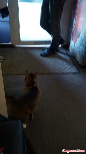 ���� 1: ������� ������ �� �� �����