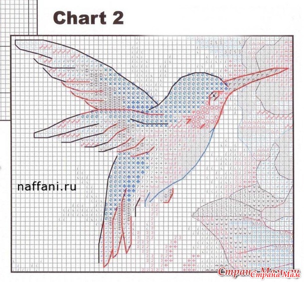 . ����� �������� ��� ����� (������� �� ������,  ��������)