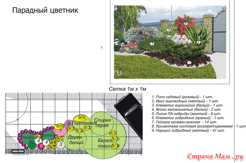 Схема ландшафтного дизайна с названиями растений прямоугольной формы