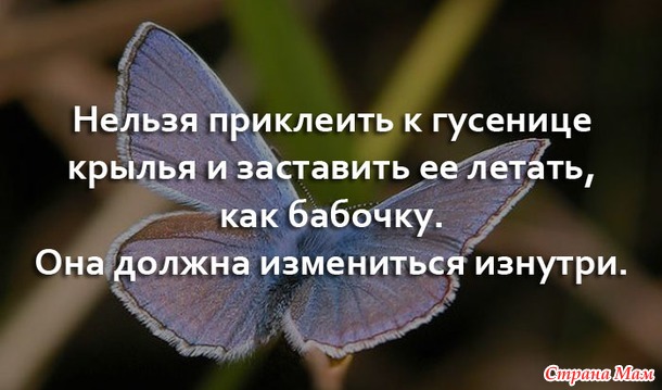 Цитаты