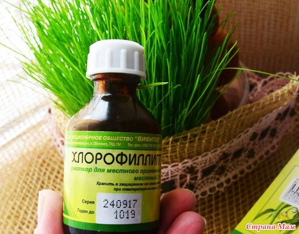 ХЛОРОФИЛЛИПТ