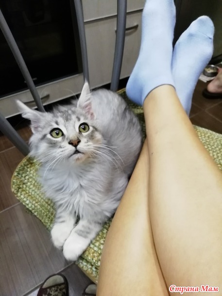 Кунёнок Филька. Две недели дома.