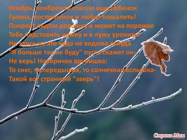 Изба-вязальня Ноябрь. Общество болтушек и борцов с недовязами.