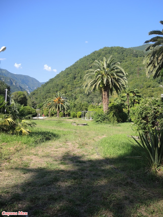 абхазия страна души. абхазия страна. абхазия 2013. санаторий пво сухум. страна души абхазия пансионат.