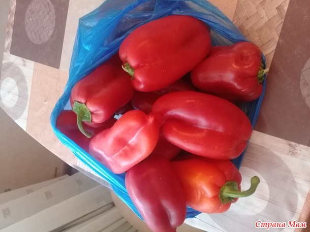 Перец с мясом. Дополнила