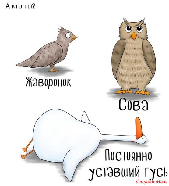 ,  , .