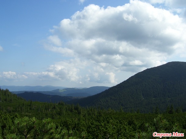 Карпаты - моя любовь с первого взгляда
