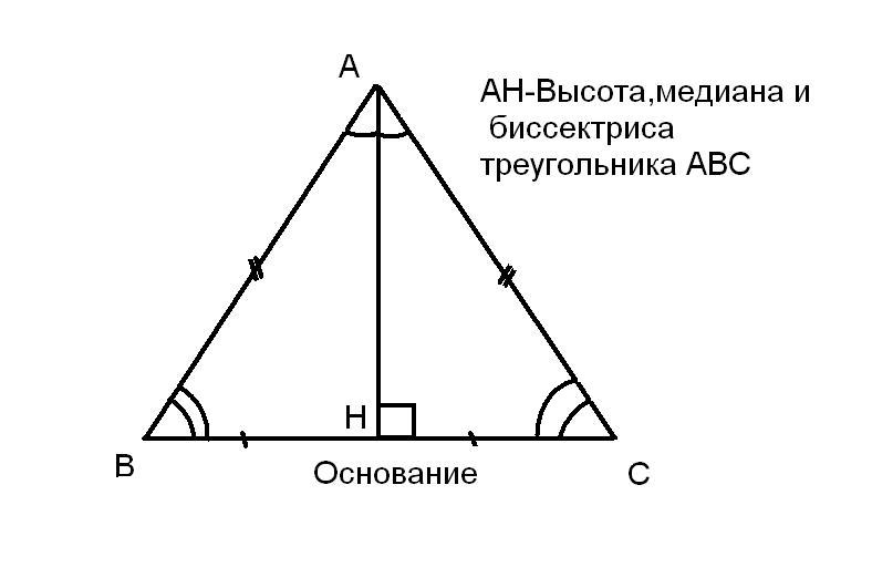 Построение высоты равнобедренного треугольника. Равнобедренный треугольник Медиана биссектриса и высота. Высота и Медиана в равнобедренном треугольнике. Медиана биссектриса и высота треугольника. Свойство углов равнобедренного треугольника чертеж.