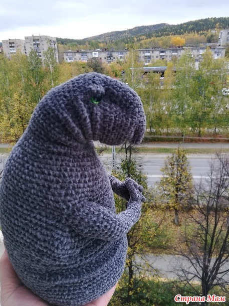 Ждунчик (добавила фото :)