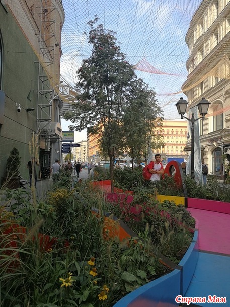 Цветочный джем - фестиваль городского ландшафтного дизайна