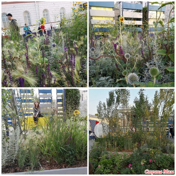 Цветочный джем - фестиваль городского ландшафтного дизайна