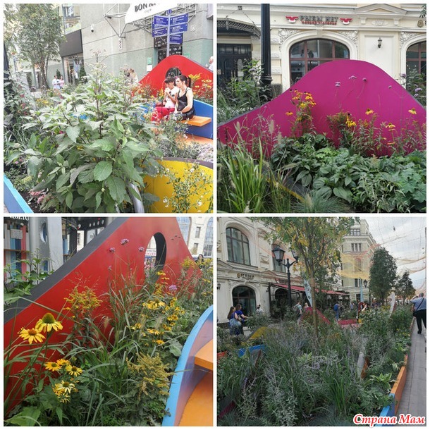 Цветочный джем - фестиваль городского ландшафтного дизайна
