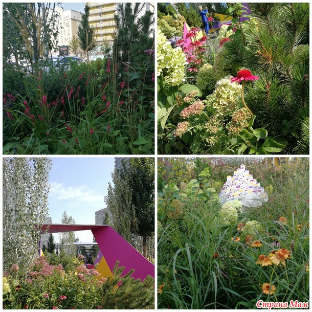 Цветочный джем - фестиваль городского ландшафтного дизайна
