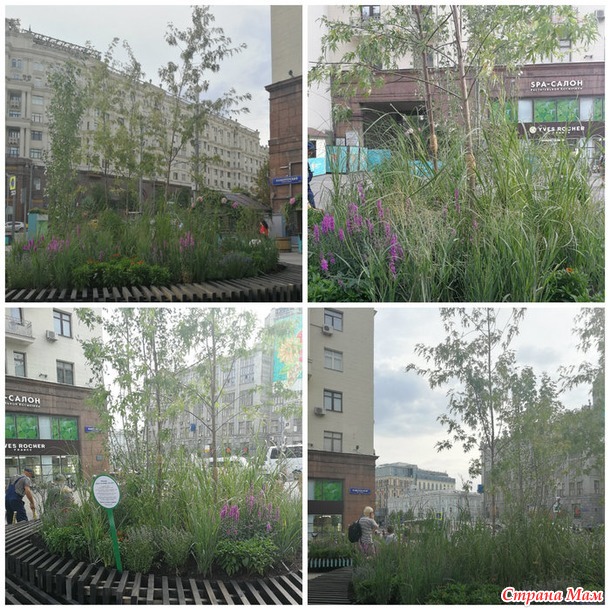 Цветочный джем - фестиваль городского ландшафтного дизайна