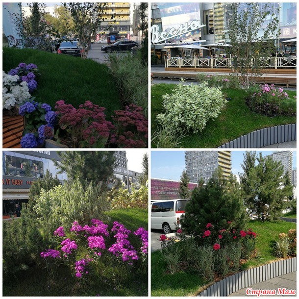 Цветочный джем - фестиваль городского ландшафтного дизайна