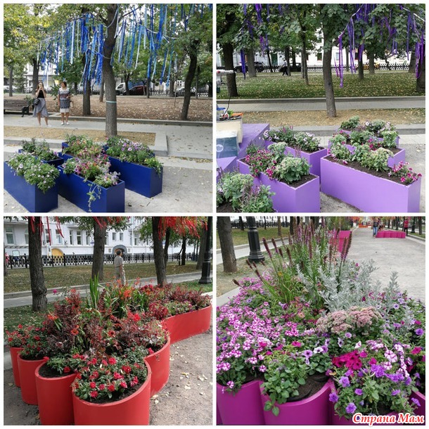 Цветочный джем - фестиваль городского ландшафтного дизайна