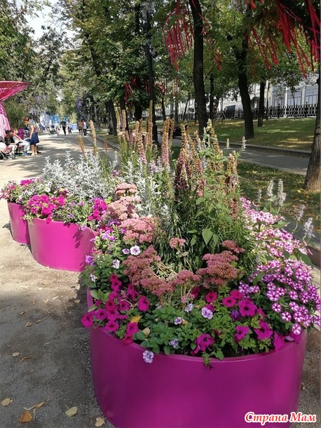 Цветочный джем - фестиваль городского ландшафтного дизайна