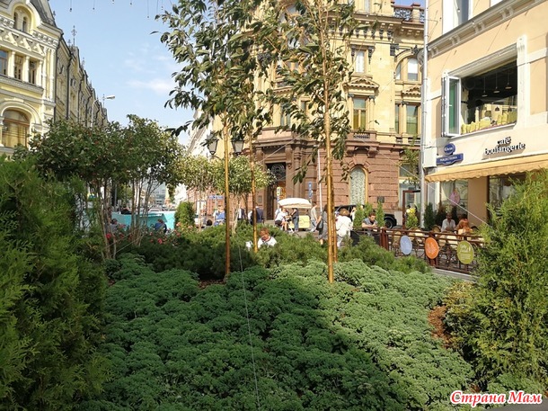 Цветочный джем - фестиваль городского ландшафтного дизайна