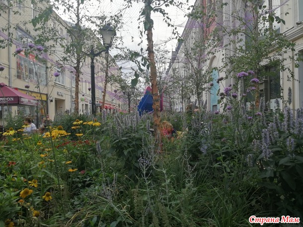 Цветочный джем - фестиваль городского ландшафтного дизайна