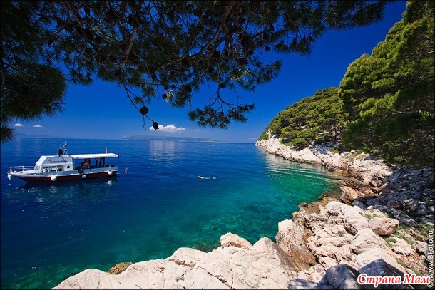 ��������� ��������, ���� �������, ������������ � ���� 2018!+ �����!!!