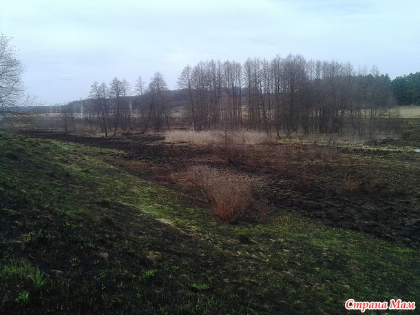 Ходила я вчера прогуляться...(много фото)