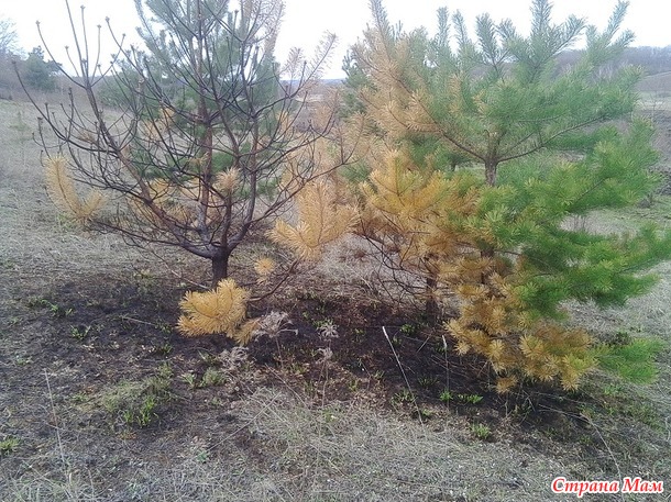 Ходила я вчера прогуляться...(много фото)