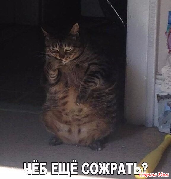 От улыбки станет день светлей - 33...