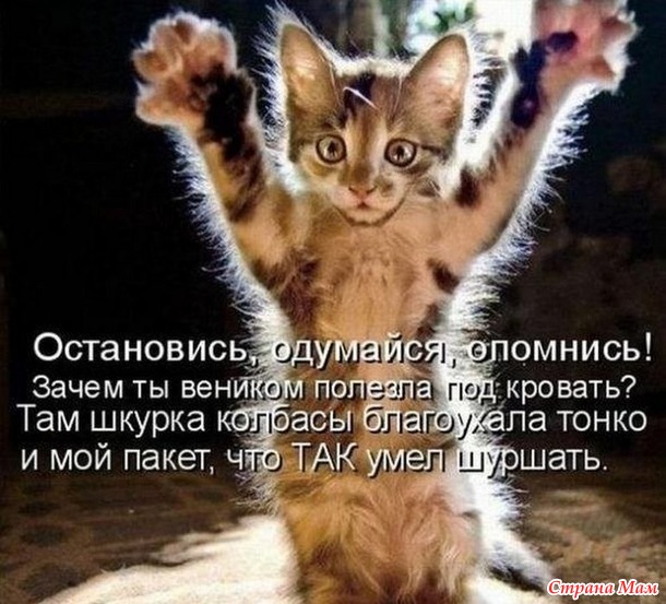 От улыбки станет день светлей - 35...