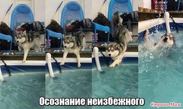 От улыбки станет день светлей - 37...