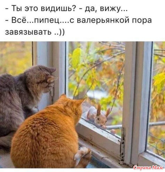 От улыбки станет день светлей - 49...
