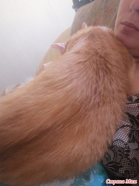 Кто сказал, что коты не лечат