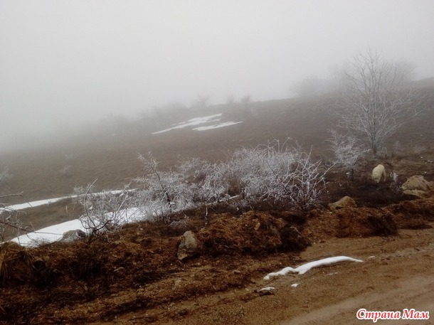 Есть у нас, в Крыму, одно заколдованное место.