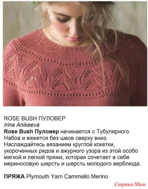     ROSE BUSH   . .