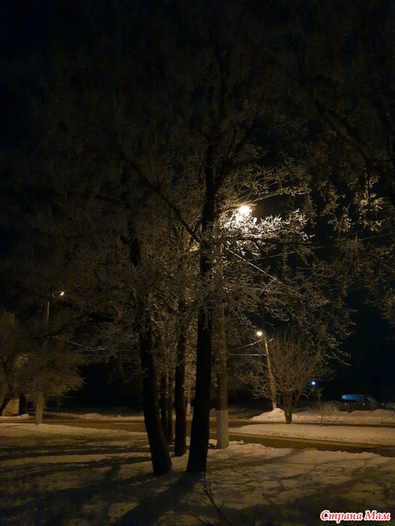 Новогодний Ночь Пары Новогодний Ночь Пары