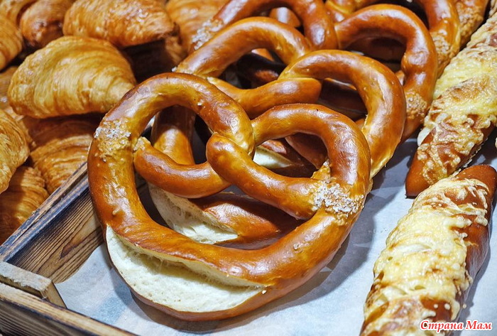 Тратата, мы везём с собой кота, и ещё с собой кота, и ещё собаку (авто, Европа, 30000 км)