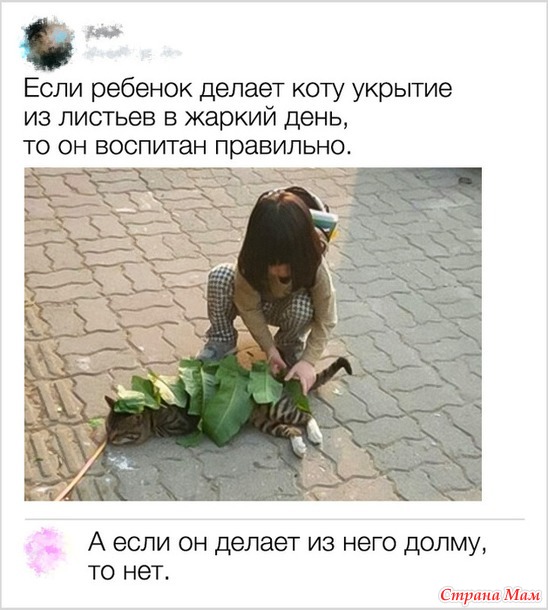 Сегодня я к вам с рекламой