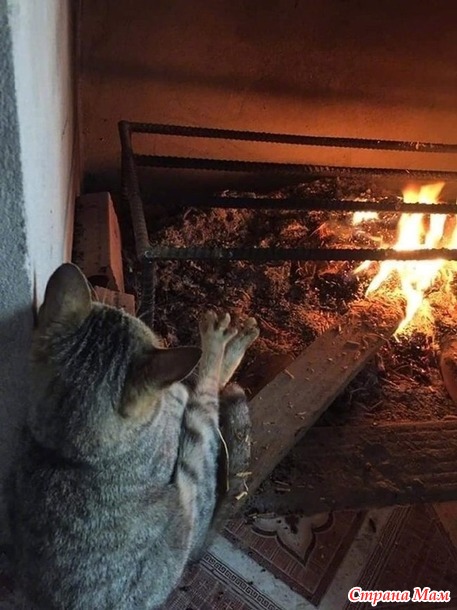 Всем чудесного дня!
