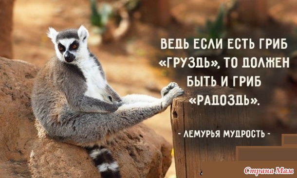 Всем чудесного дня!