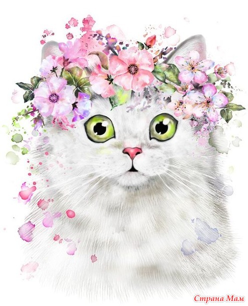 Мимимишный котик:)+Вопрос?