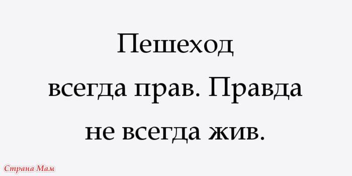 Пешеход всегда прав но не всегда жив картинки