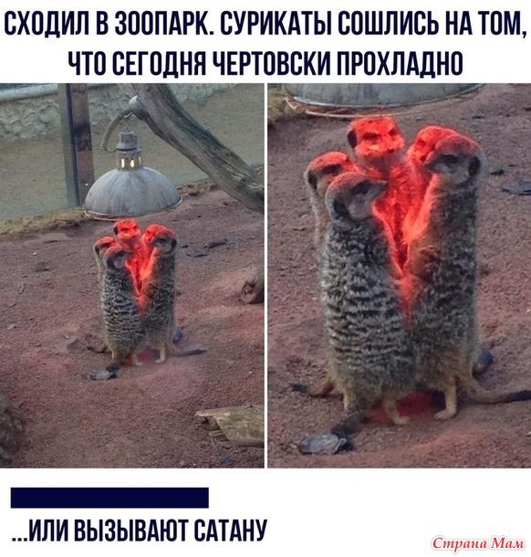      - 9...