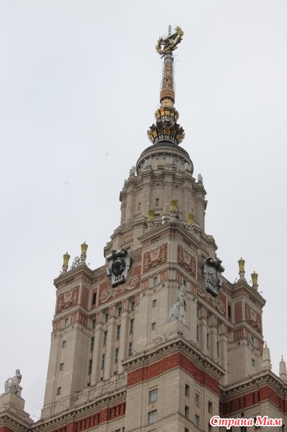 МГУ и аллея сакуры